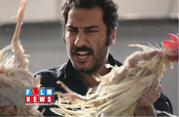 نوید محمدزاده در «بدون تاریخ، بدون امضا»