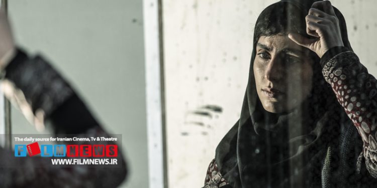 آنالیز فروش فیلم سید رضا میرکریمی در روزهایی که کمدیها اکران نبودند | فرصتی برای تماشای «نگهبان شب»