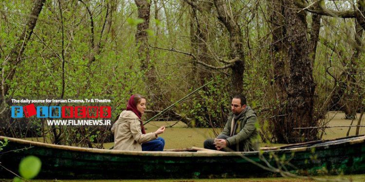 آنالیز فروش فیلم قربان نجفی در روزهایی که کمدیها اکران نبودند | «فصل ماهی سفید» درجا زدن در نقطه صفر