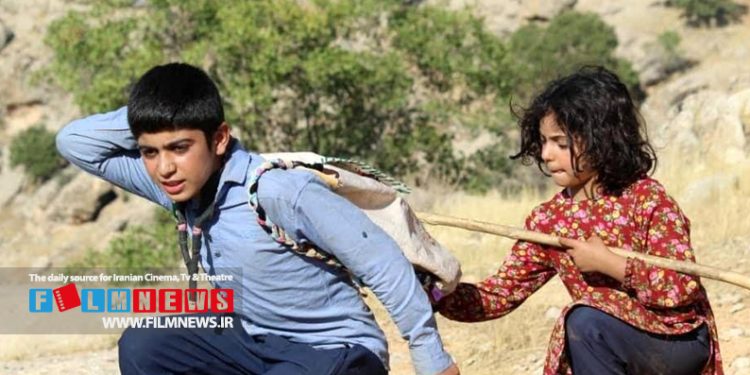 کم مخاطب‌ترین فیلم اکران، 25 میلیون تومان هم نفروخته است | «میان صخره‌ها» فقط با 550 مخاطب