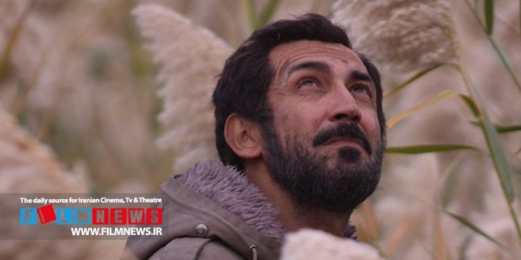 تغییر و تحول در نحوه پخش سریال هادی حجازیفر | «عاشورا» سریال شبانه شبکه یک شد