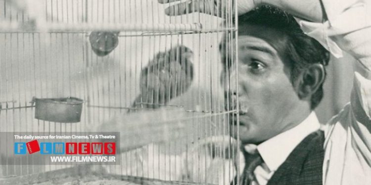 یک اتفاق عجیب و غریب در انتشار رسمی نخستین فیلم رخشان بنی‌اعتماد | «خارج از محدوده» با لوگو شبکه افق و زیرنویس‌های تلویزیون در شبکه خانگی