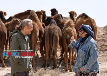 بررسی دلایل موفقیت فیلم «چرا گریه نمی‌کنی؟» به کارگردانی علیرضا معتمدی | پس از تاریکی