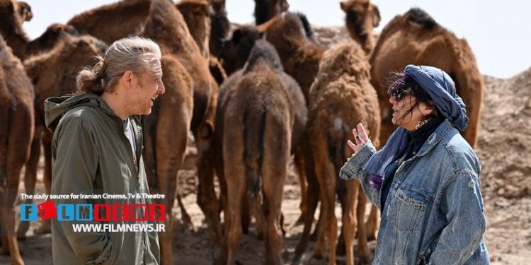 بررسی دلایل موفقیت فیلم «چرا گریه نمیکنی؟» به کارگردانی علیرضا معتمدی | پس از تاریکی