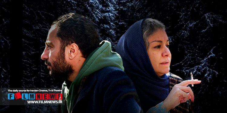 جنگل آسفالت اولین تجربه سریال سازی پژمان تیمورتاش مورد استقبال مخاطبان قرار گرفته است.