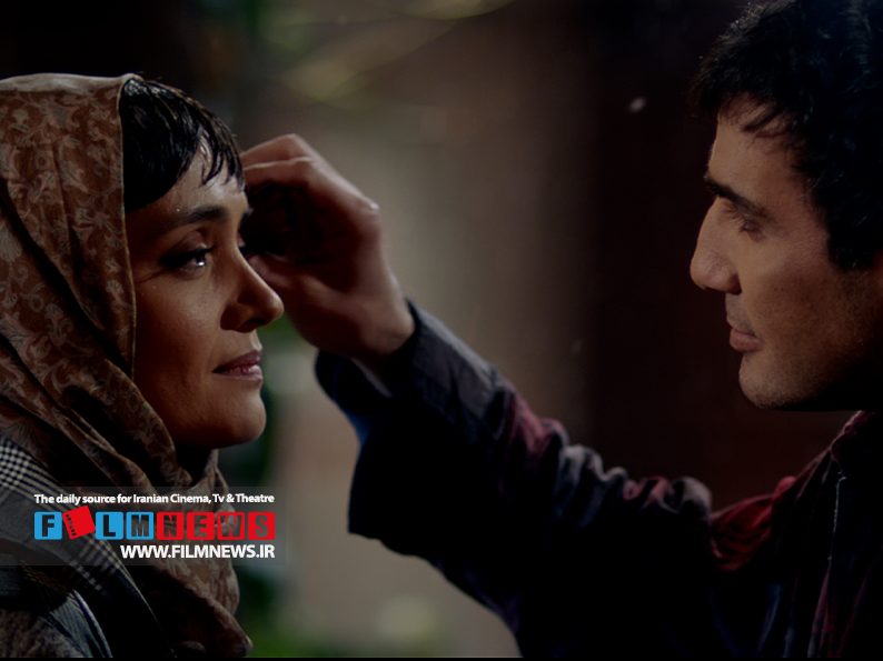 محمدرضا فروتن در بین بازیگران زن بیشترین همکاری را با میتراحجار داشته که آخرین آن فیلم «نیلگون» است.