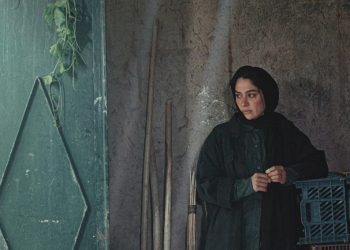 در آغوش درخت نخستین تجربه کارگردانی بابک خواجه‌پاشا ست که توانست نظر مخاطبان و منتقدان جلب کند.