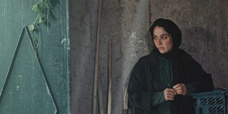 در آغوش درخت نخستین تجربه کارگردانی بابک خواجه‌پاشا ست که توانست نظر مخاطبان و منتقدان جلب کند.