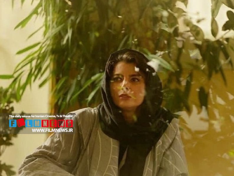 پیر پسر و مرد عینکی رقابت تنگاتنگی در جدول فروش هفتگی دارند.
