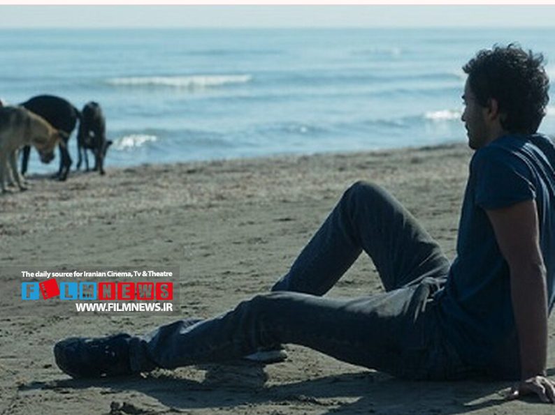 پرویز شهبازی بعد از سال‌ها فعالیت در عرصه کارگردانی سینما نخستین سریال خود با نام «مو به مو» آماده انتشار کرده است.