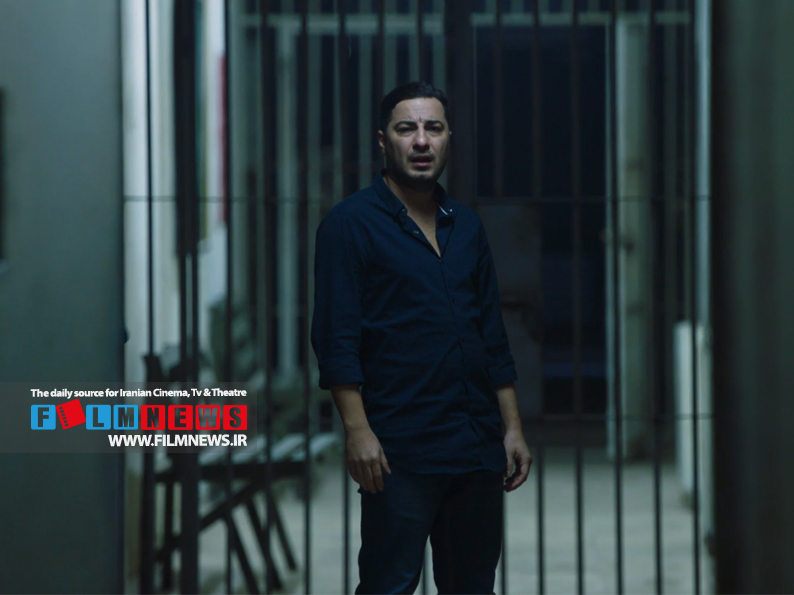 مقایسه فیلم‌های اکران شده سعید روستایی از نظر میزان مخاطب و فروش در سینماها