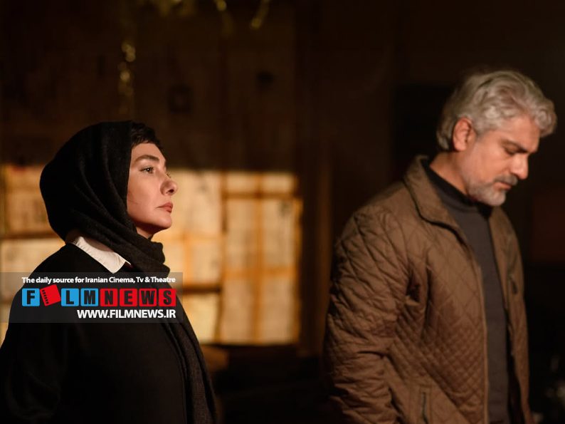 ژانر دزدی یکی از محبو‌ب‌ترین ژانرهای سینمایی است در ایران تعدادی زیادی فیلم و سریال در این ژانر ساخته شده که آخرین آن‌ها سریال «الگوریتم» است.