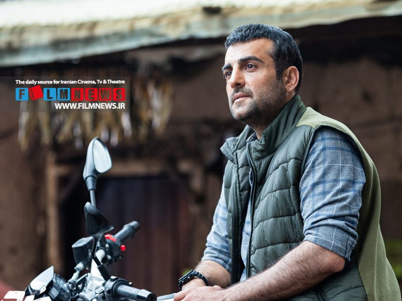 مروری بر سریالهای خانگی «حامد کمیلی» به بهانه حضور در سریال «نیمرخ»