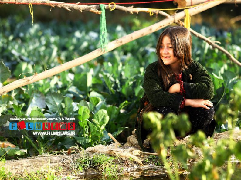 اکران آنلاین فیلم «ناتور دشت» ساخته محمدرضا خردمندان در پلتفرم فیلیمو