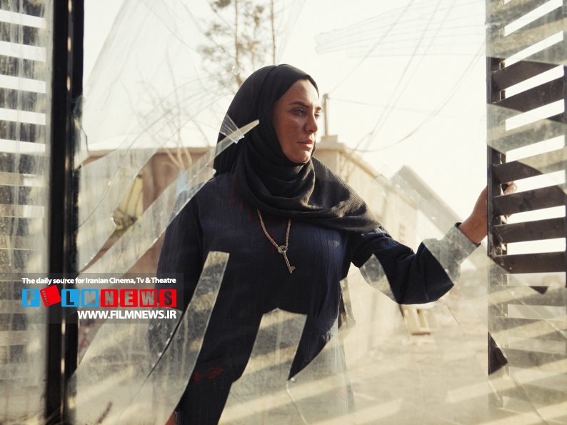 مروری بر فیلم‌های مهم کارنامه منوچهر محمدی که در جشنواره چهل و چهارم برای فیلم سرزمین‌فرشته‌ها برنده سیمرغ بهترین فیلم شد